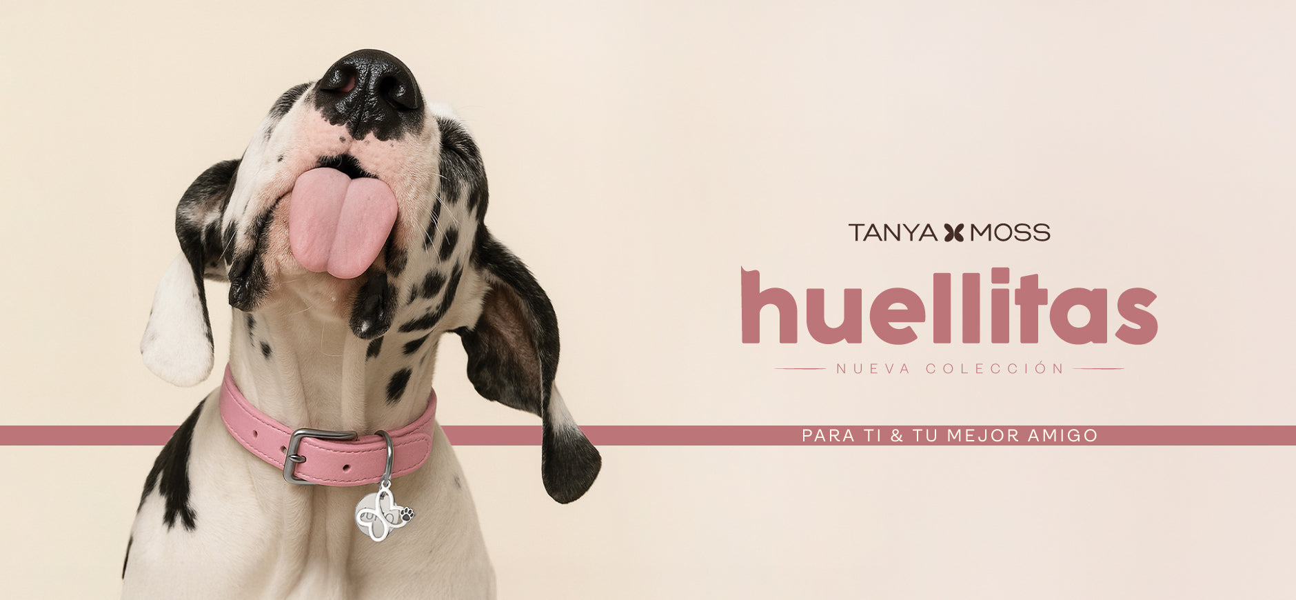 Huellitas 2025