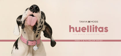 Huellitas 2025