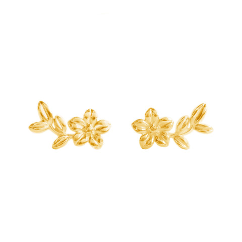 Broqueles Mujer Plata 925 Mensaje Amor Flor Hojas Dorado