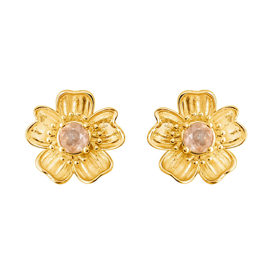 Broqueles Plata 925 Florecer Topacio Champange Dorados - Tanya Moss
