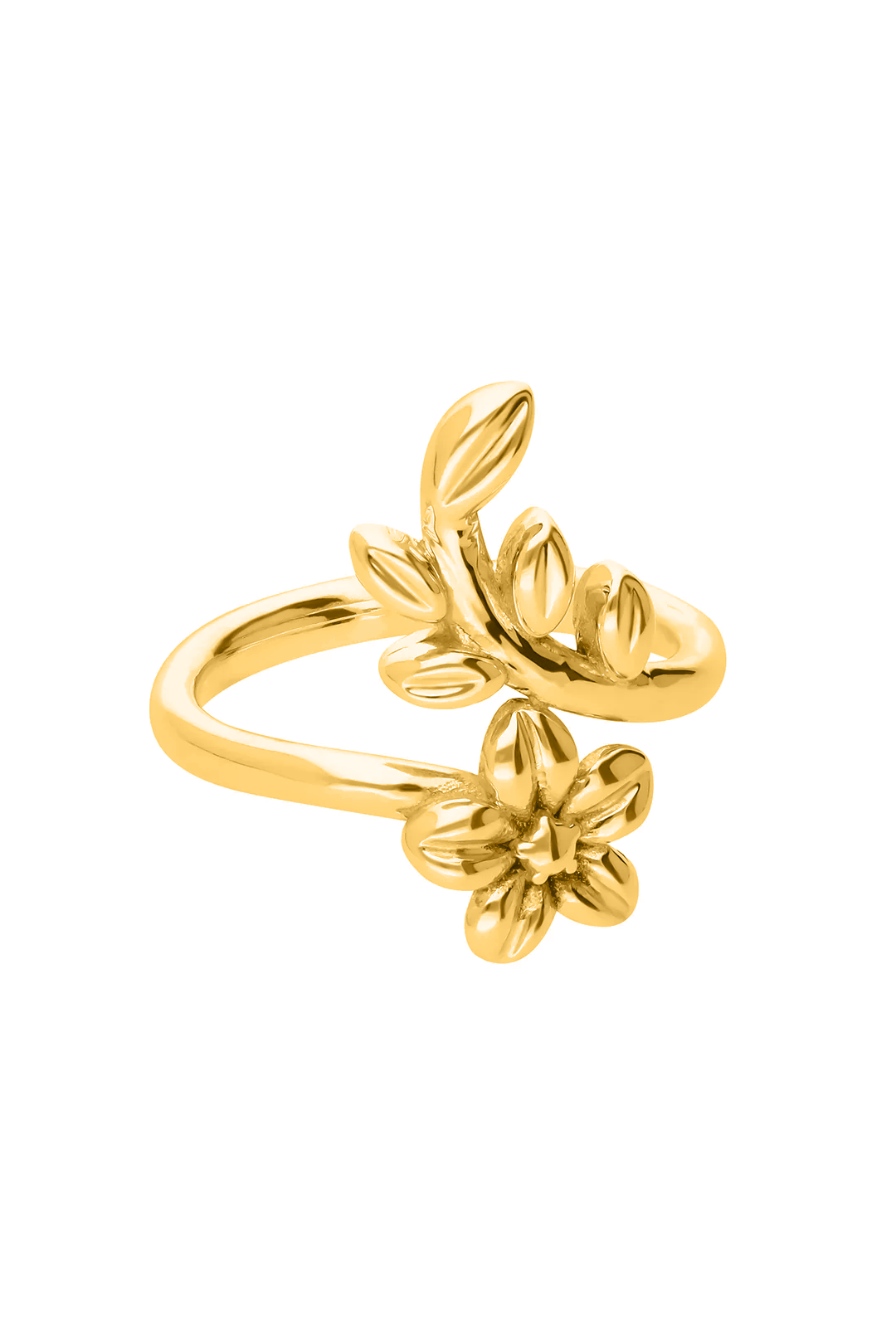 Anillo Plata 925 Mensaje Amor Cruzado Flor Hojas Dorado