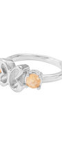 Anillo Plata 925 Mariposa Básica Con Piedra - Tanya Moss